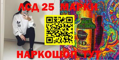 гидра Будённовск