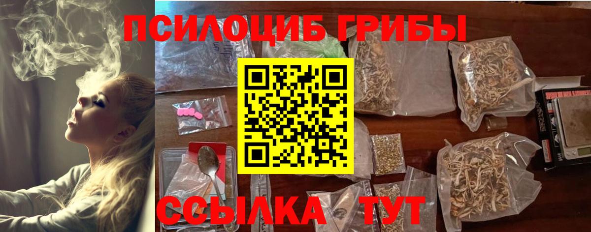 Псилоцибиновые грибы GOLDEN TEACHER Ярцево