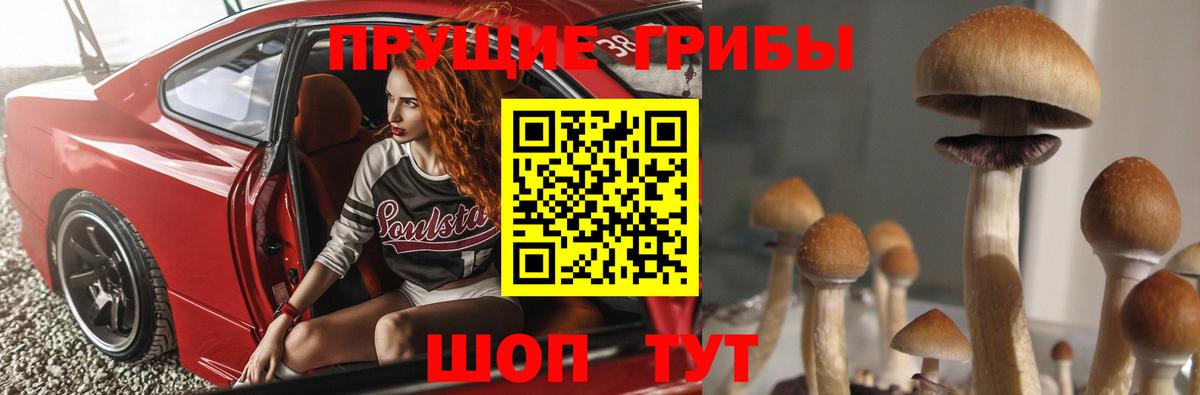 Ярцево  Псилоцибиновые грибы Magic Shrooms  Вход с VPN 